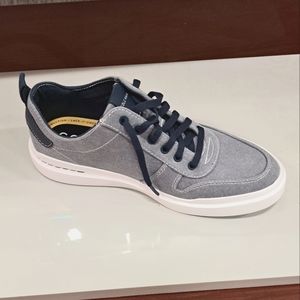 Meet the best collections of items!